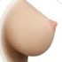 Solid breast